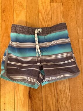 Carter's Teal and gray Elastic Waist swim trunks